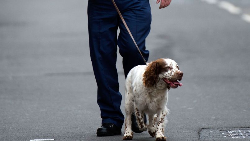 En Angleterre, les chiens policiers toucheront une retraite
