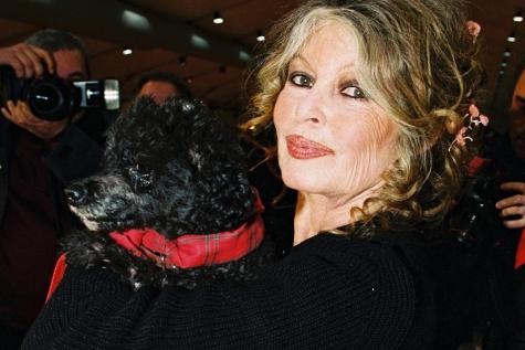 Brigitte Bardot, ses animaux menacés d’expulsion