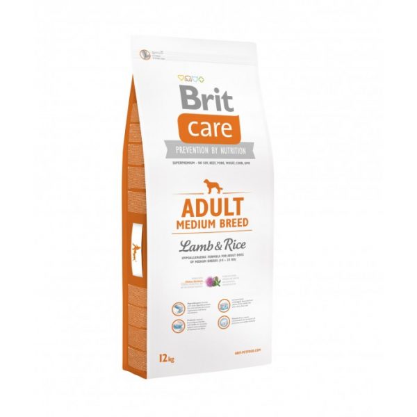 BRIT-CARE