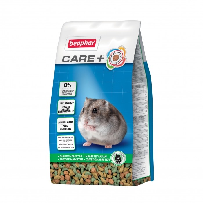 Care + Hamster nain