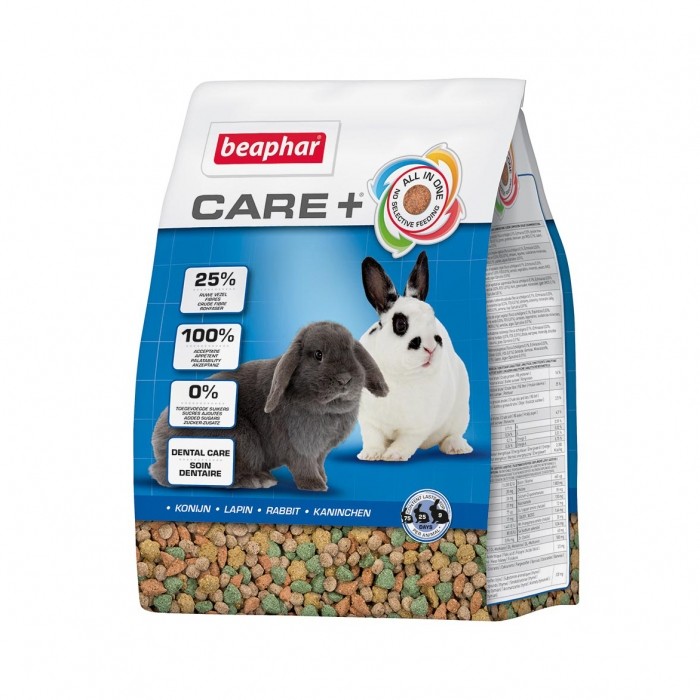 Care + Lapin