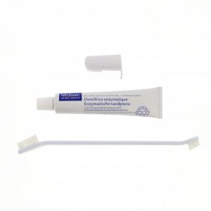 Dentifrice enzymatique