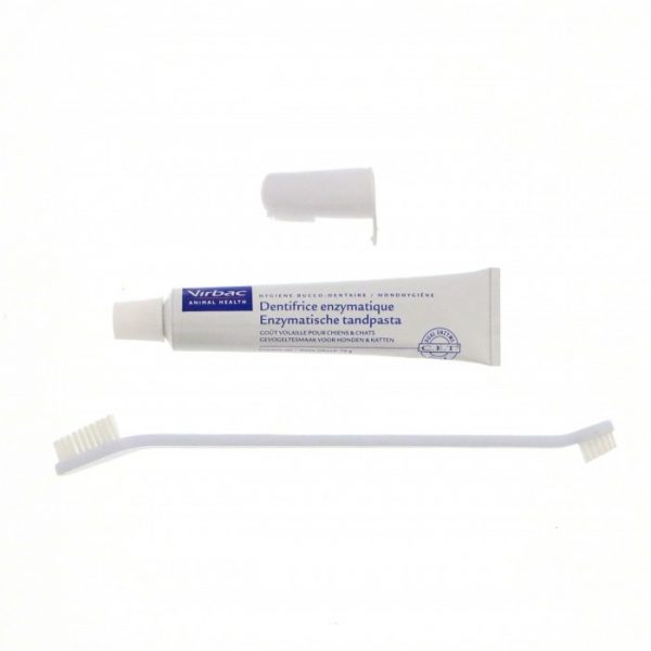 Dentifrice enzymatique