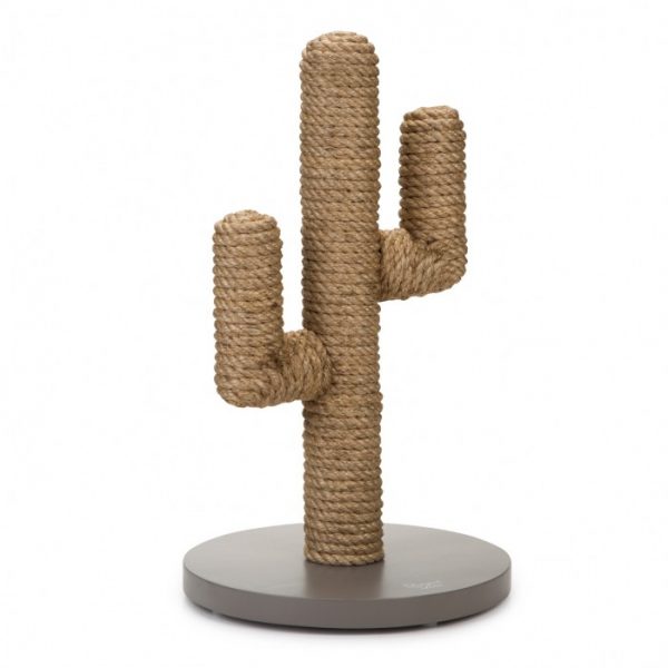 Griffoir Cactus