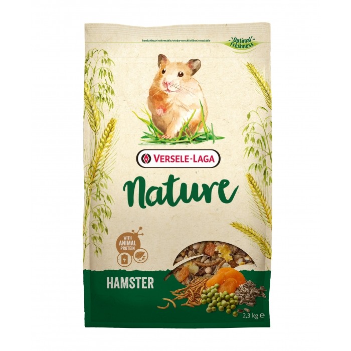 Hamster Nature