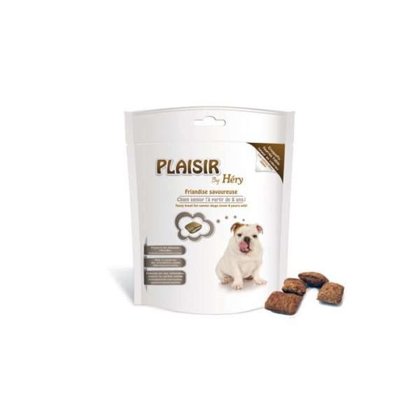 Plaisir pour chiens seniors