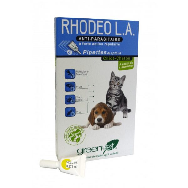 Rhodeo L.A. chiot et chaton