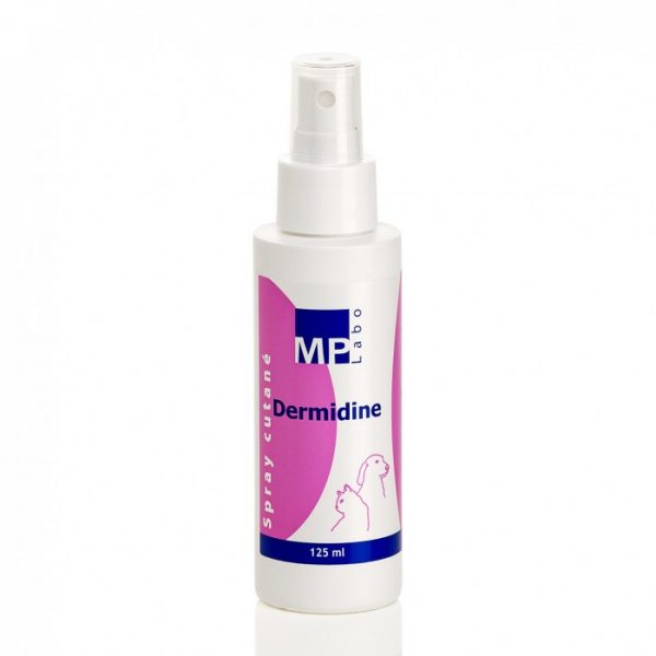 Spray désinfectant Dermidine