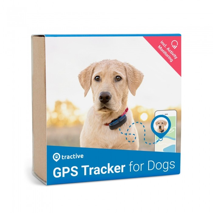 Traceur GPS pour chien