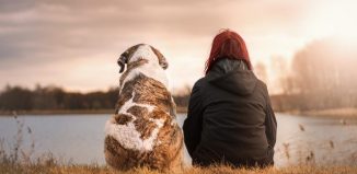 Le bien-être du chien passe avant tout par votre propre bien-être